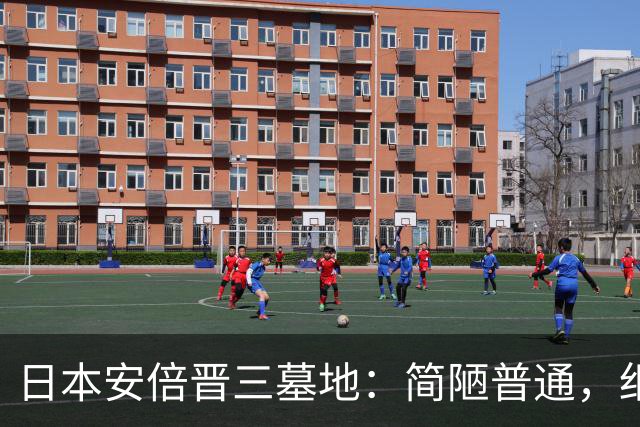 日本安倍晋三墓地：简陋普通，细看墓碑上的刻字，全部为中国汉字